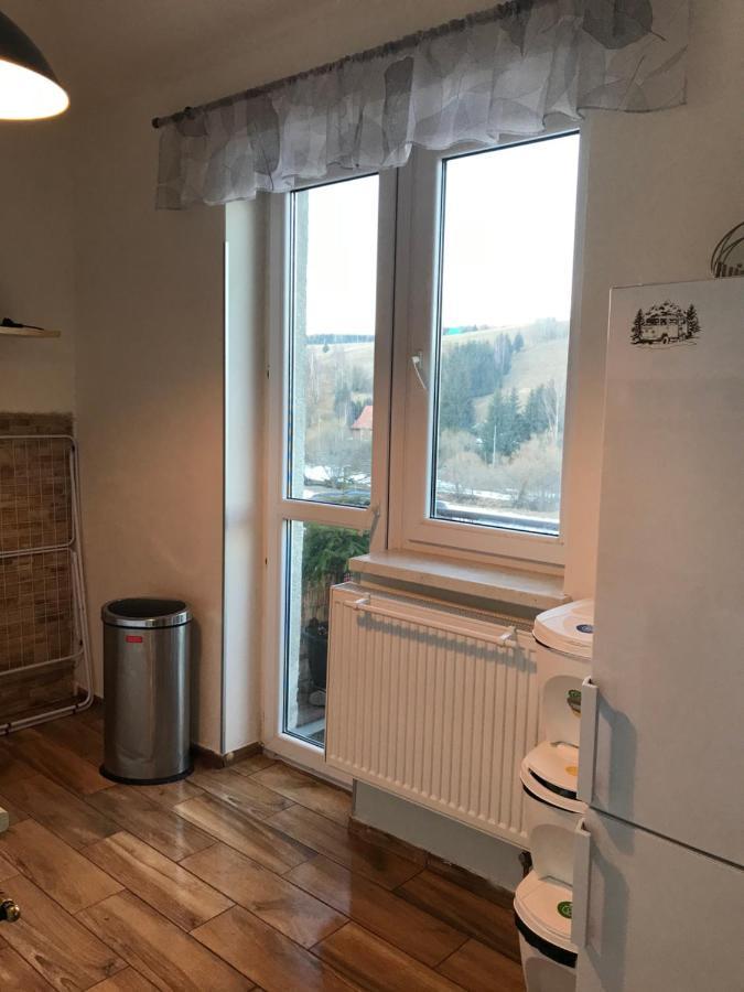 Apartman Orlicke Zahori Eksteriør bilde