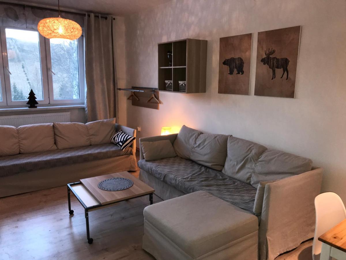 Apartman Orlicke Zahori Eksteriør bilde